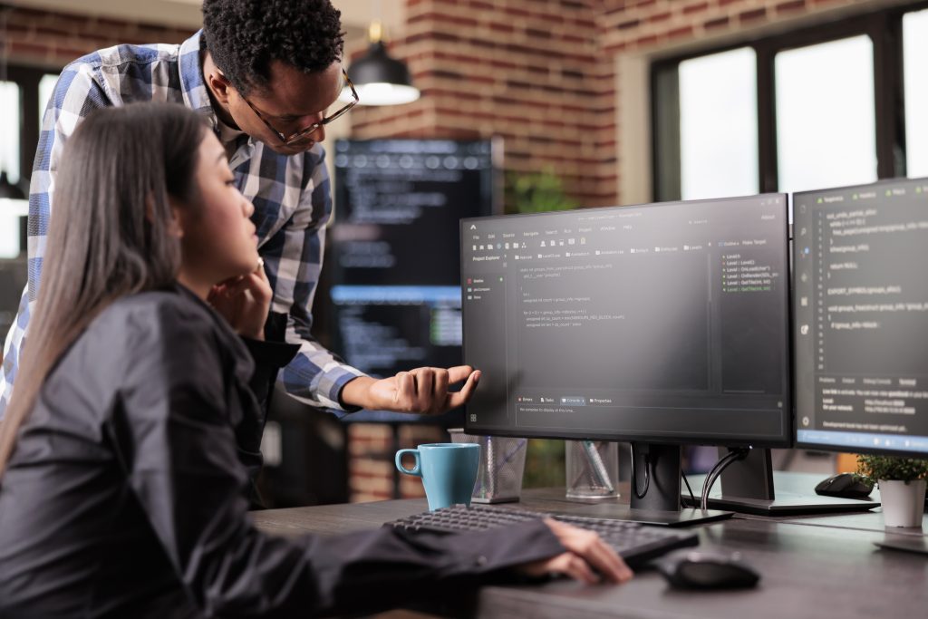 software development